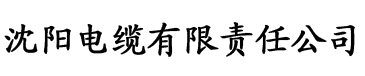 日韩影片在线观看大香蕉电缆厂logo